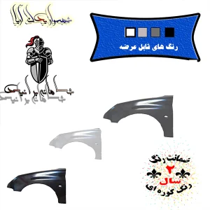 گلگیر جلو206 (رنگ شده  )سفید / نوک مدادی / نقره ای /بژ مناسب برای 206 تیپ 2 و 5 (چپ و راست )/با ضمانت 2 ساله